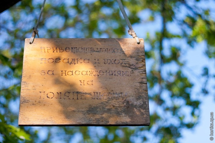 Поляна Любви на Хортице